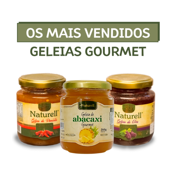 KIT OS MAIS VENDIDOS GELEIAS GOURMET